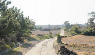 제주시 구좌읍 한동리 매물 대표 이미지