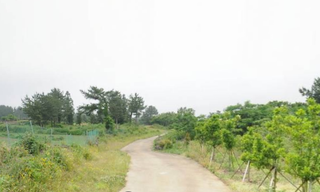 제주시 애월읍 상가리 산 매물 대표 이미지