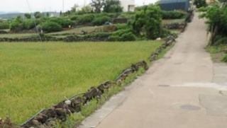 제주시 한림읍 한림리 매물 대표 이미지