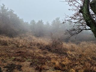 제주시 애월읍 유수암리 매물 대표 이미지