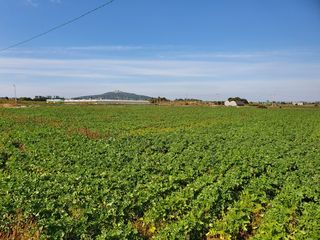 서귀포시 대정읍 상모리 매물 대표 이미지