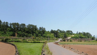 제주시 애월읍 애월리 매물 대표 이미지