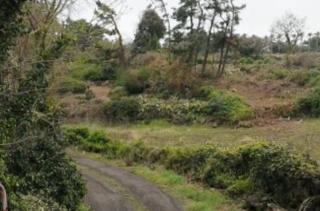 제주시 한림읍 협재리 매물 대표 이미지