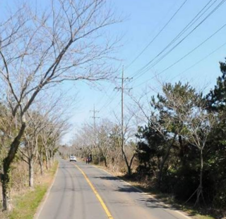 제주시 한경면 조수리 매물 대표 이미지