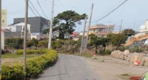 제주시 조천읍 함덕리 매물 대표 이미지