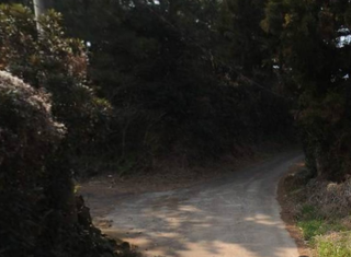 제주시 조천읍 신촌리 매물 대표 이미지