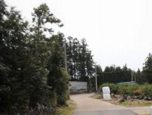 서귀포시 하원동 매물 대표 이미지