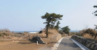 제주시 화북일동 매물 대표 이미지