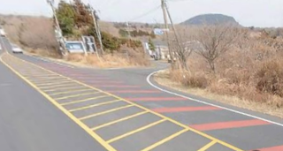 제주시 조천읍 교래리 산 매물 대표 이미지