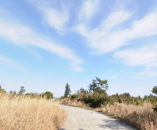 서귀포시 안덕면 덕수리 매물 대표 이미지