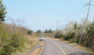 제주시 구좌읍 월정리 산 매물 대표 이미지