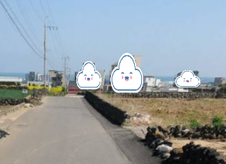 제주시 구좌읍 월정리 매물 대표 이미지