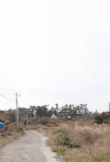 제주시 한림읍 협재리 매물 대표 이미지