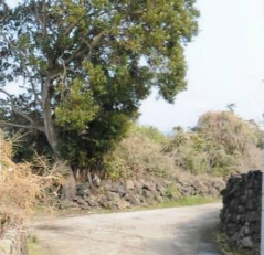 서귀포시 성산읍 시흥리 매물 대표 이미지