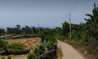 제주시 한림읍 상대리 매물 대표 이미지