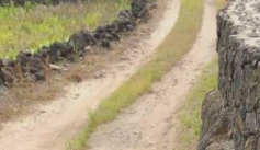 제주시 애월읍 곽지리 매물 대표 이미지