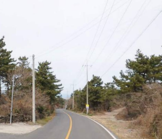 제주시 한림읍 명월리 매물 대표 이미지