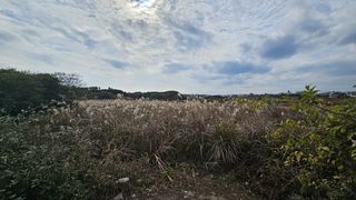 서귀포시 안덕면 사계리 매물 대표 이미지