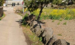 제주시 애월읍 신엄리 매물 대표 이미지