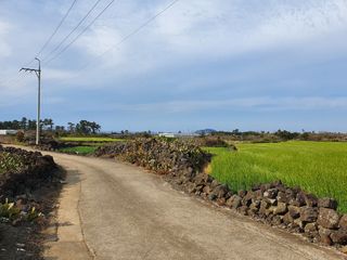 제주시 한경면 판포리 매물 대표 이미지