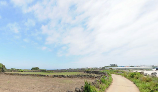 제주시 구좌읍 하도리 매물 대표 이미지