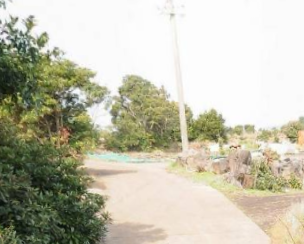 서귀포시 성산읍 고성리 매물 대표 이미지