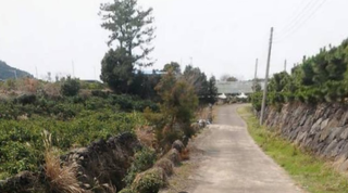 서귀포시 남원읍 하례리 매물 대표 이미지