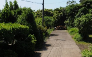 제주시 구좌읍 송당리 매물 대표 이미지