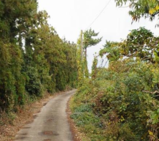 서귀포시 안덕면 화순리 매물 대표 이미지