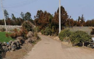 제주시 한림읍 명월리 매물 대표 이미지