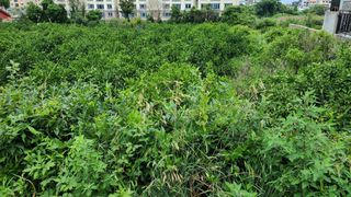 제주시 오라삼동 매물 대표 이미지