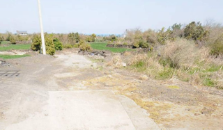 제주시 구좌읍 행원리 매물 대표 이미지