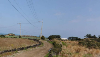 제주시 구좌읍 종달리 매물 대표 이미지