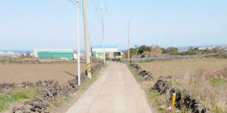 제주시 한림읍 동명리 매물 대표 이미지