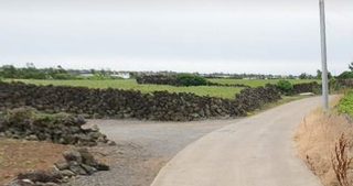 제주시 한경면 조수리 매물 대표 이미지