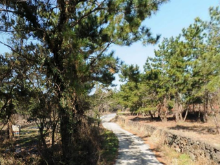 제주시 한림읍 협재리 매물 대표 이미지