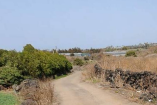 제주시 한경면 저지리 매물 대표 이미지