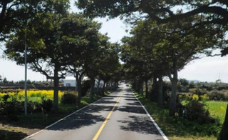 제주시 구좌읍 평대리 매물 대표 이미지