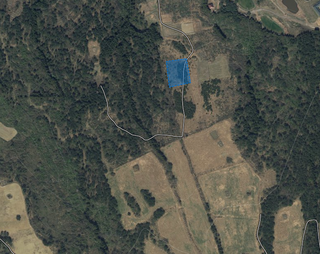 제주시 해안동 산 매물 대표 이미지