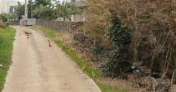 제주시 한경면 청수리 매물 대표 이미지