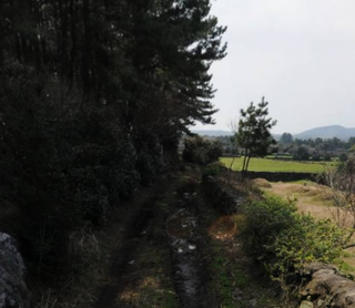 제주시 구좌읍 종달리 매물 대표 이미지