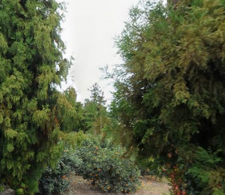 서귀포시 남원읍 태흥리 매물 대표 이미지