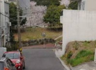 서귀포시 강정동 매물 대표 이미지