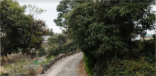 서귀포시 토평동 매물 대표 이미지