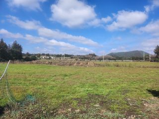 서귀포시 표선면 가시리 매물 대표 이미지