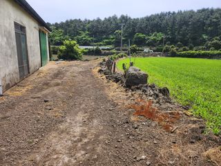 제주시 구좌읍 종달리 매물 대표 이미지