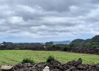제주시 구좌읍 종달리 매물 대표 이미지