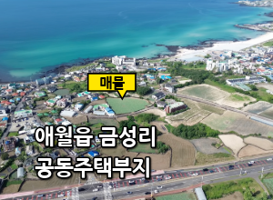 제주특별자치도 제주시 애월읍 금성리 459-1  매물 대표 이미지