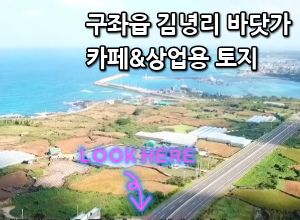 제주특별자치도 제주시 구좌읍 김녕리 5972  매물 대표 이미지